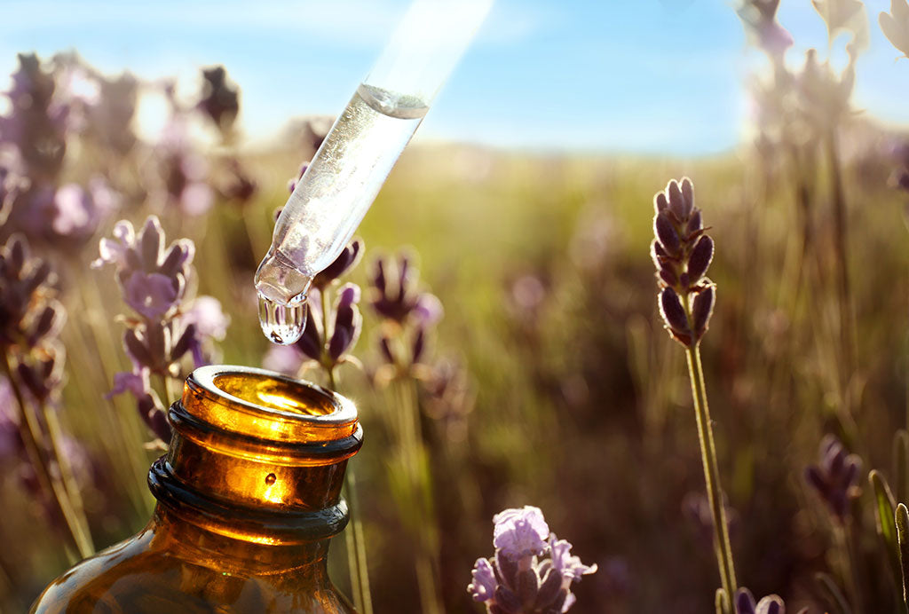 Natural Perfumes: Is It Eco-Friendly?
